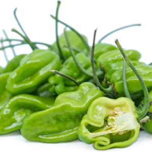 Fresh Green Pepper